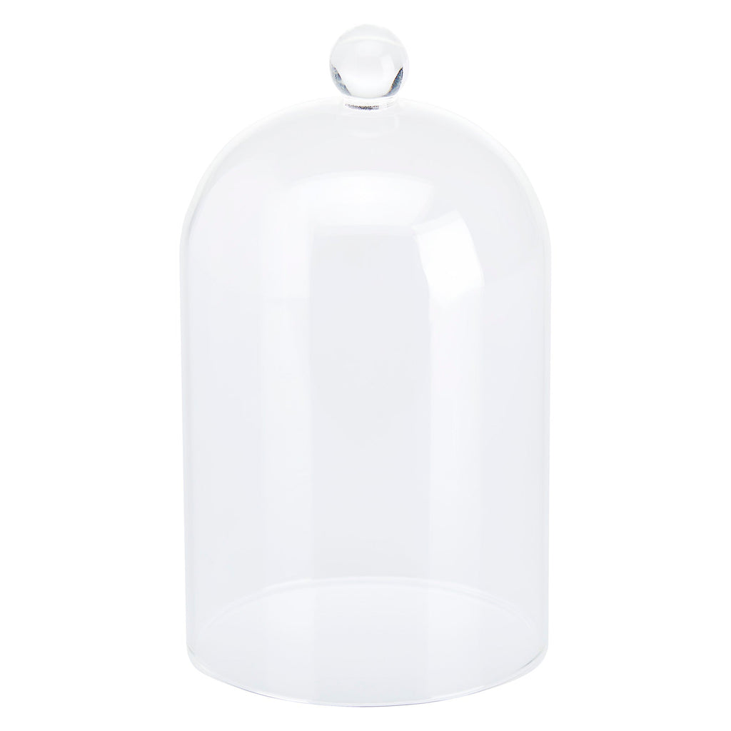 Cloche Glass Bell Jar with Solid Wood Base NEW SIZE
