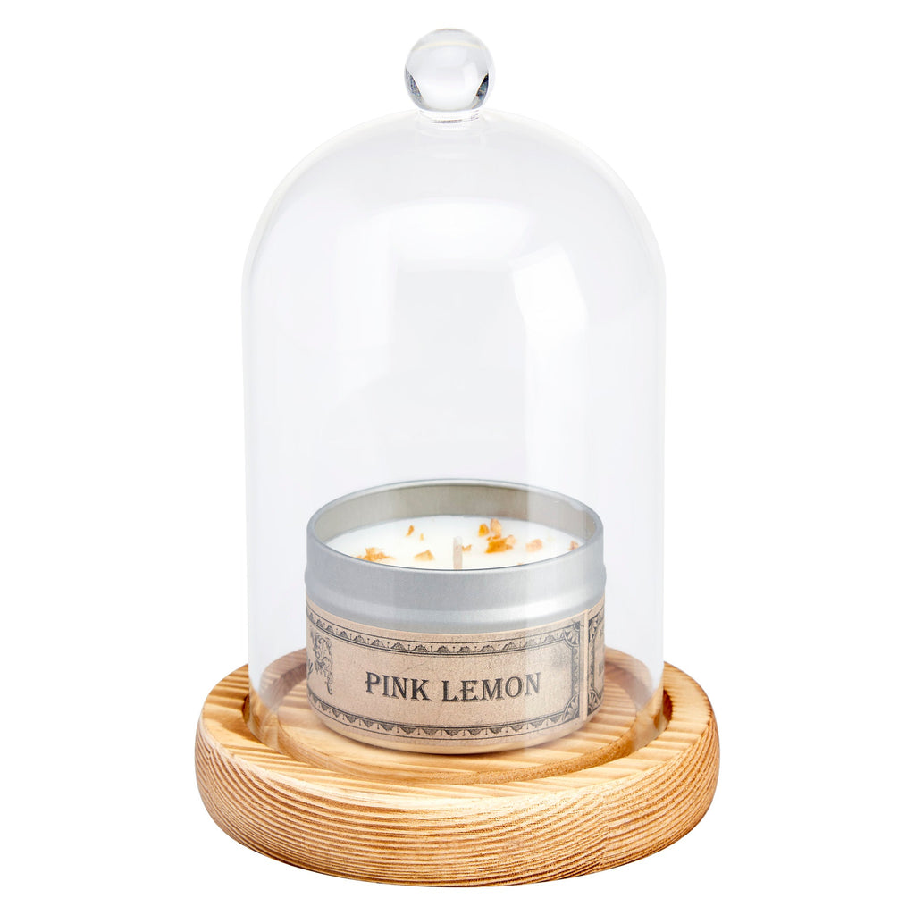 Cloche Glass Bell Jar with Solid Wood Base NEW SIZE