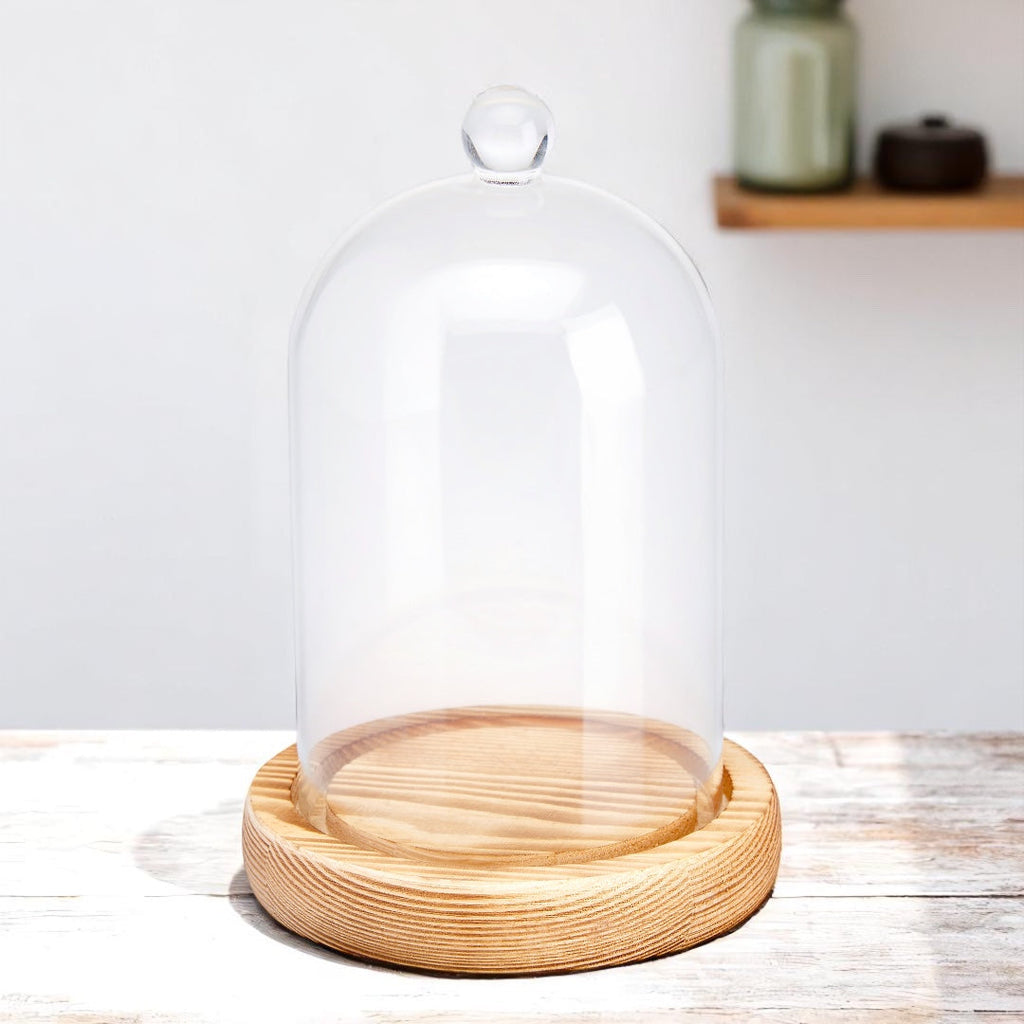 Cloche Glass Bell Jar with Solid Wood Base NEW SIZE