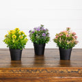 8" Artificial Flowering Daisy in Black Pot - Set of 3