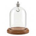 Pocket Watch Glass Display Dome Cloche Real Walnut Wood Base & Silver Hook 3"x4"