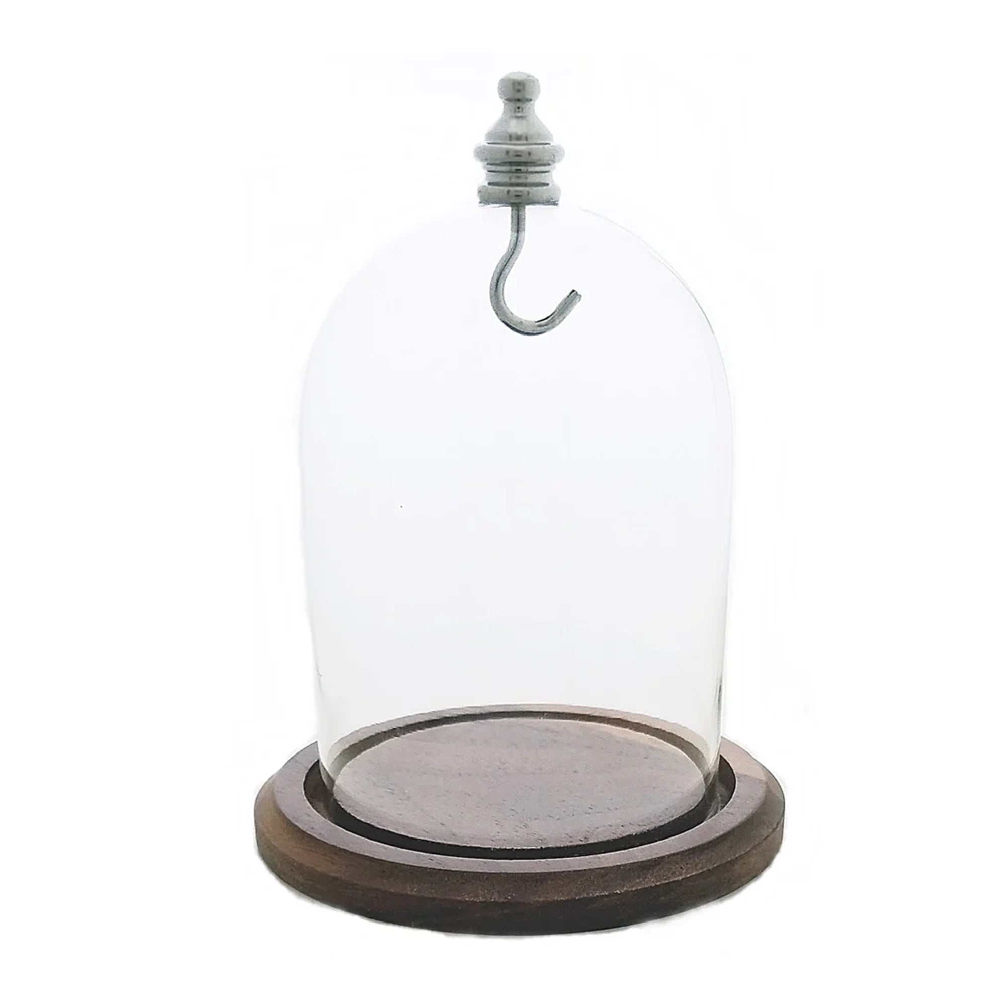 Pocket Watch Glass Display Dome Cloche Real Walnut Wood Base & Silver Hook 3"x4"
