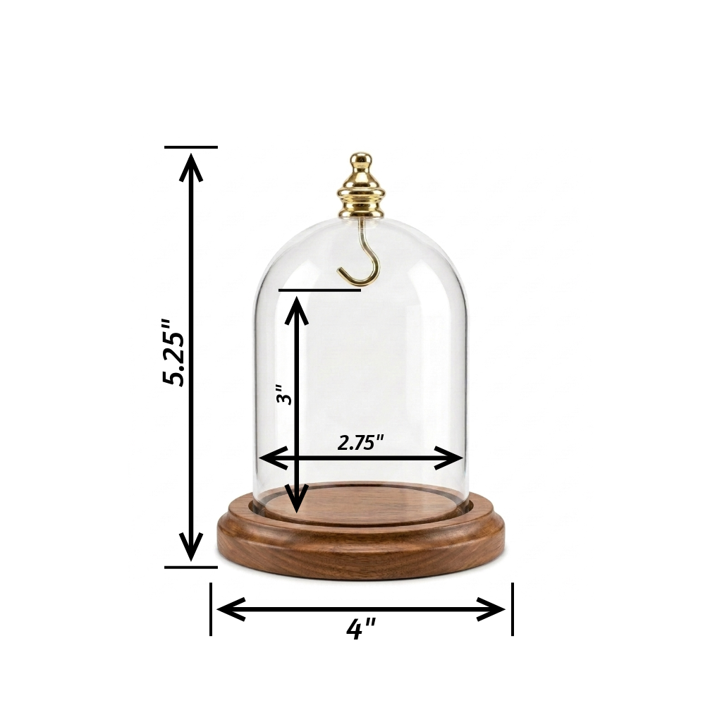Pocket Watch Glass Display Dome Cloche Real Walnut Wood Base & Silver Hook 3"x4"