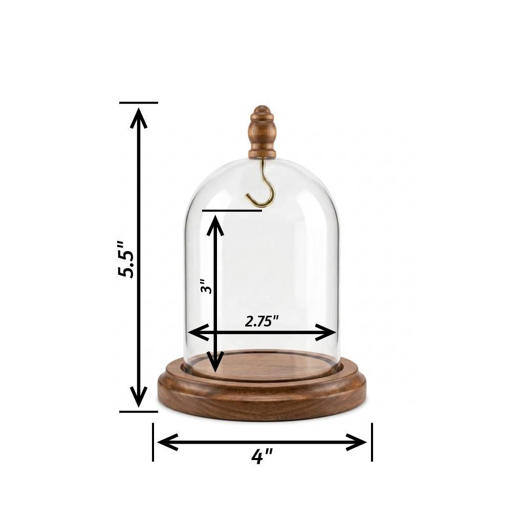 Pocket Watch Glass Display Dome Cloche Real Walnut Wood Base & Silver Hook 3"x4"