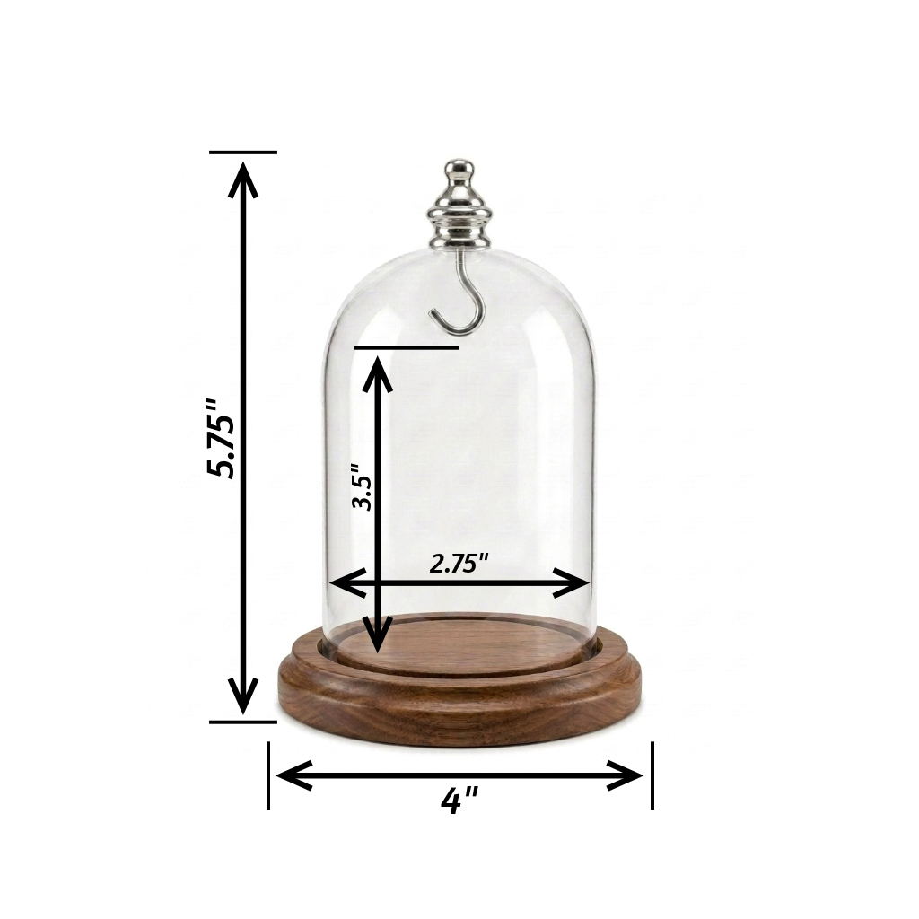 Pocket Watch Glass Display Dome Cloche Real Walnut Wood Base & Silver Hook 3"x4"