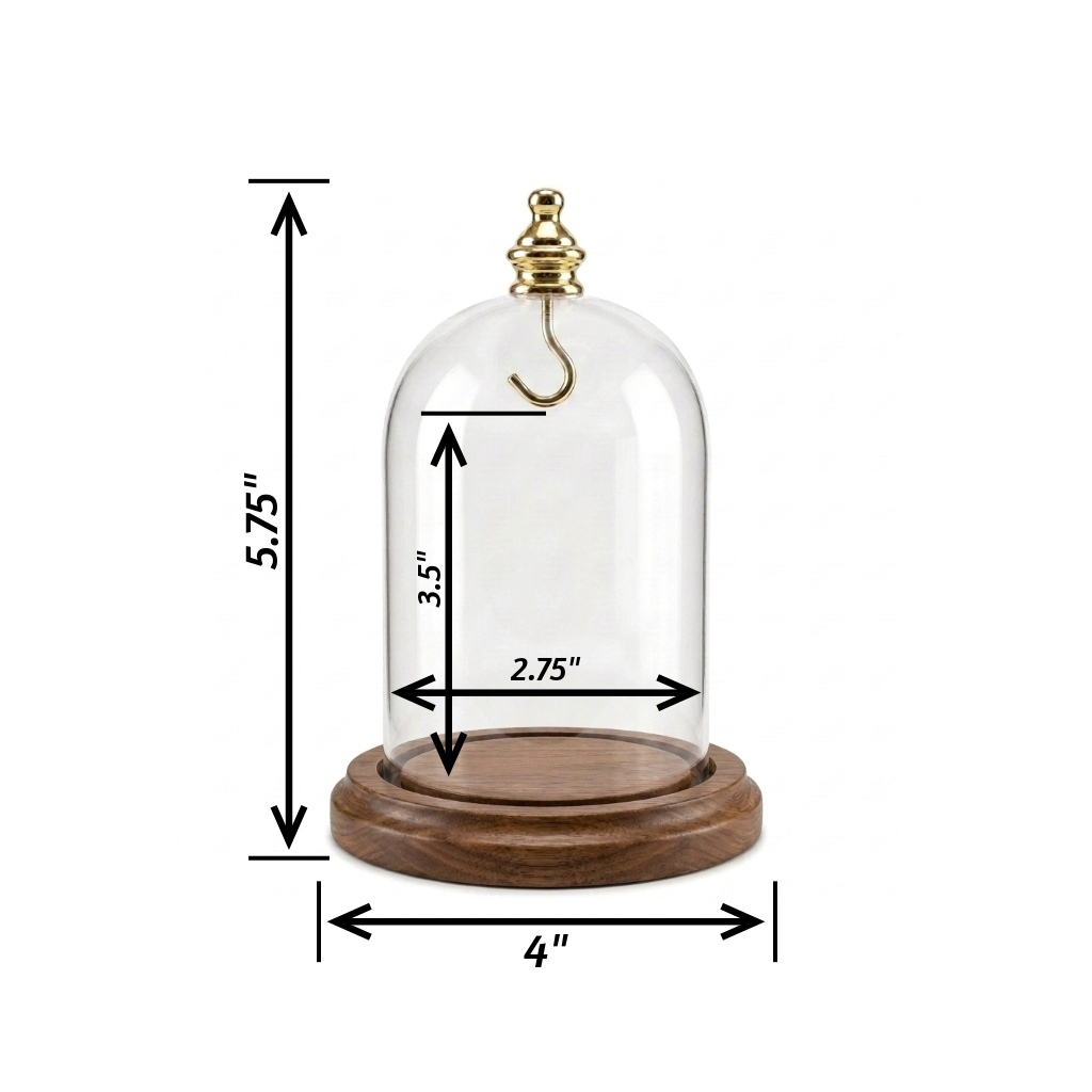Pocket Watch Glass Display Dome Cloche Real Walnut Wood Base & Silver Hook 3"x4"