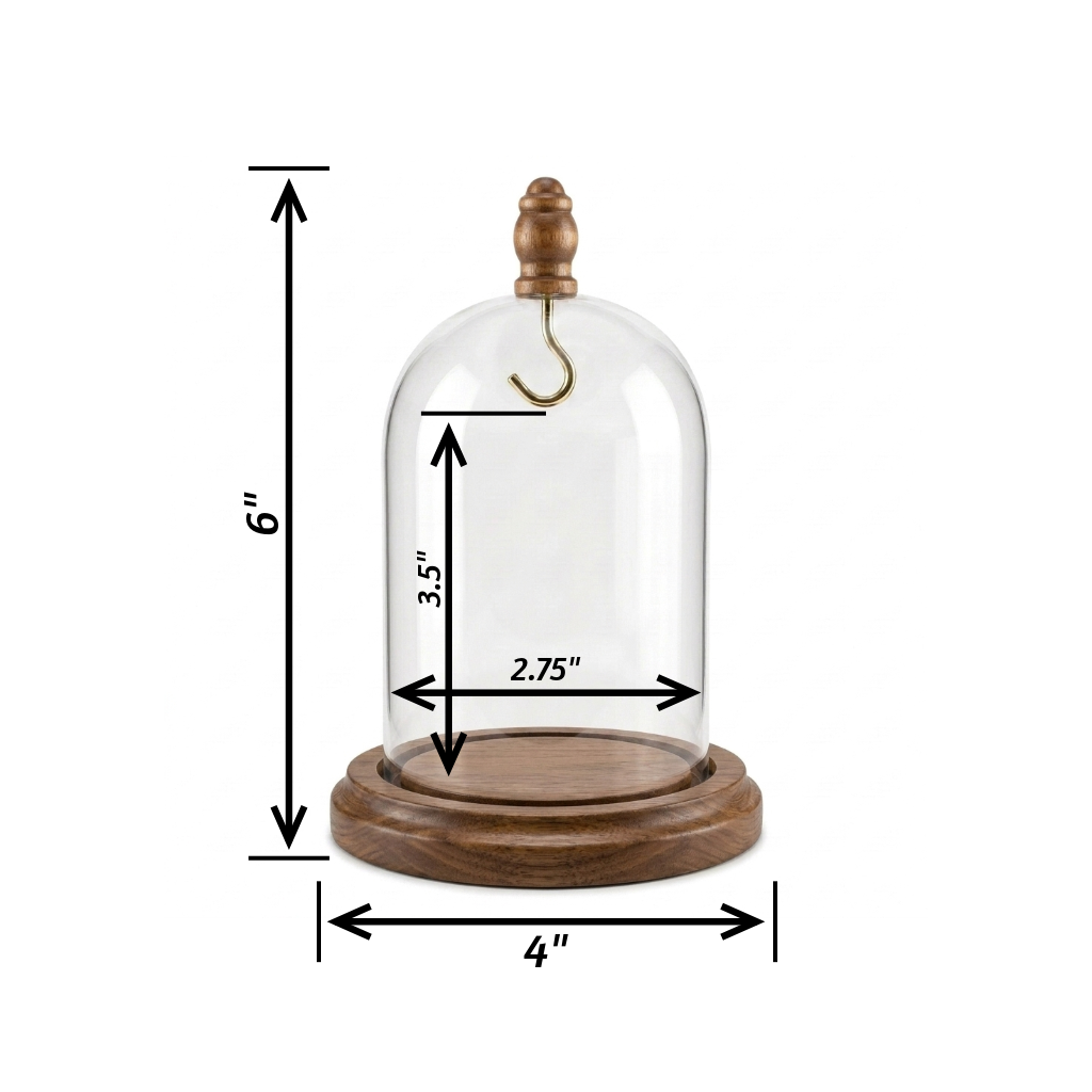 Pocket Watch Glass Display Dome Cloche Real Walnut Wood Base & Silver Hook 3"x4"