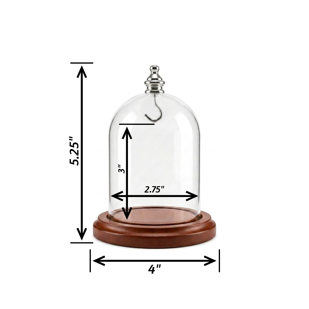 Pocket Watch Glass Display Dome Cloche Real Walnut Wood Base & Silver Hook 3"x4"