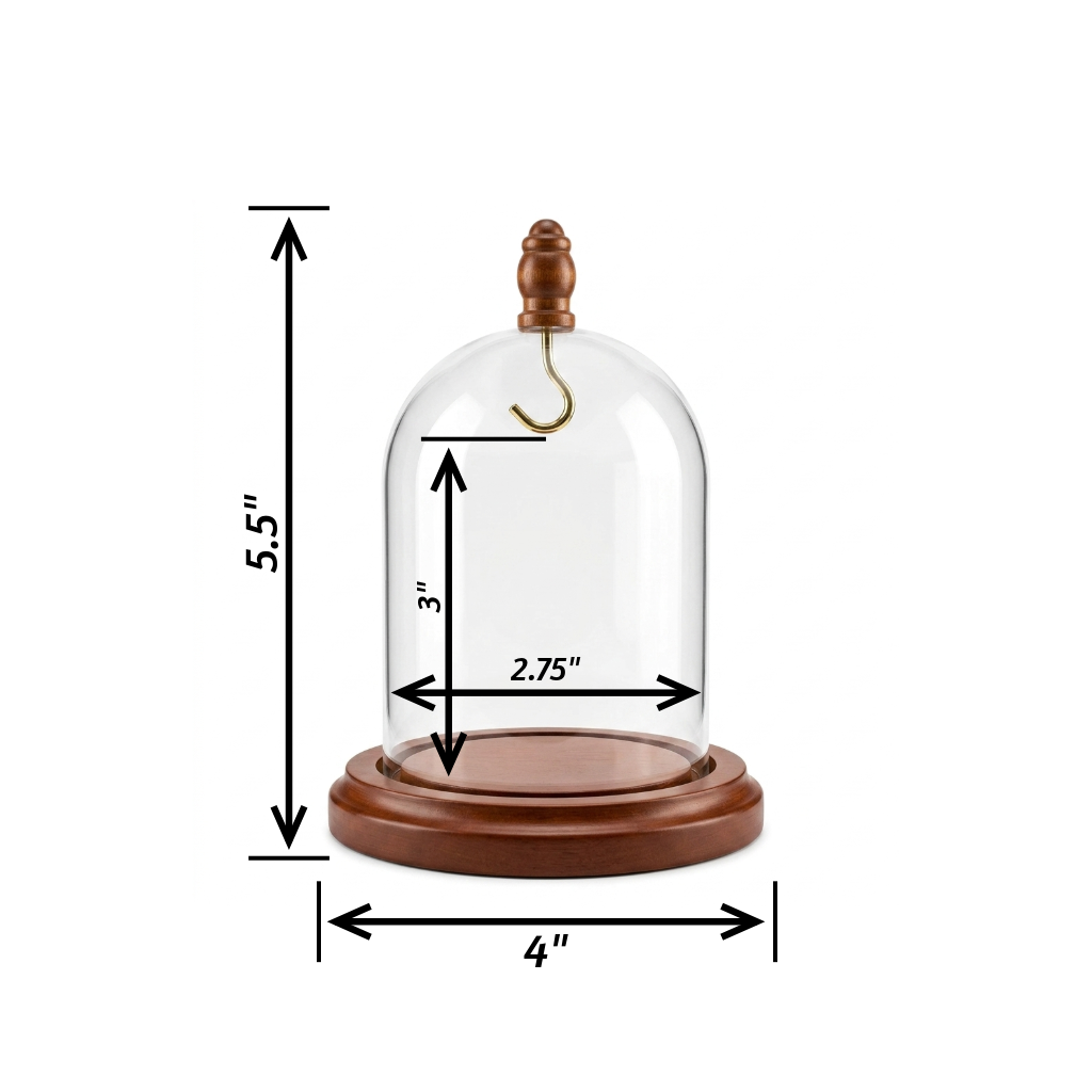 Pocket Watch Glass Display Dome Cloche Real Walnut Wood Base & Silver Hook 3"x4"